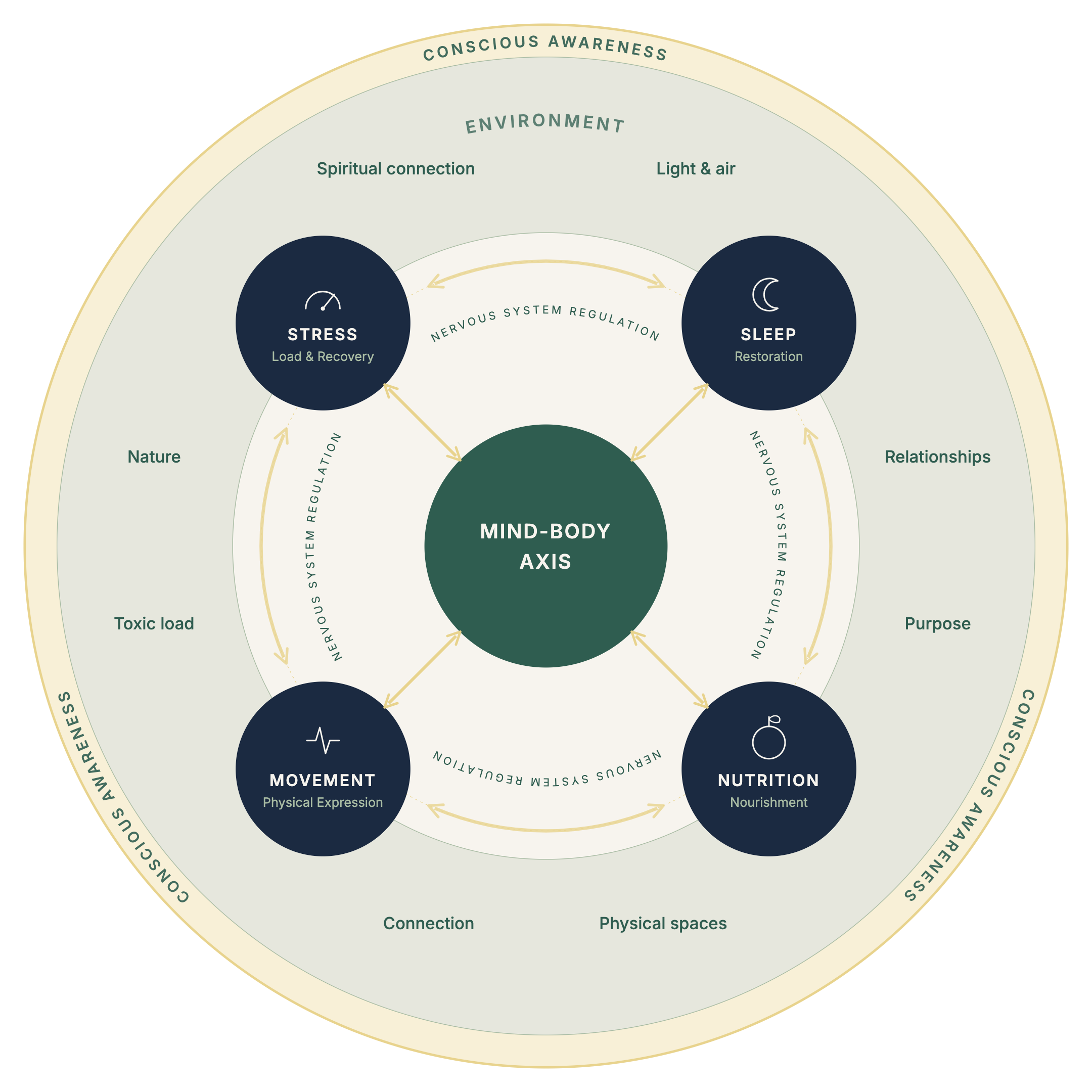 The Healthy Humans Framework™ diagram: Stress, Sleep, Movement and Nutrition connected through Nervous System Regulation around a central Mind-Body Axis, surrounded by Environment and Conscious Awareness